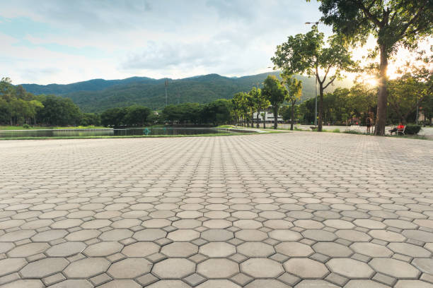 Best Custom Driveway Pavers  in Flat Rock, MI
